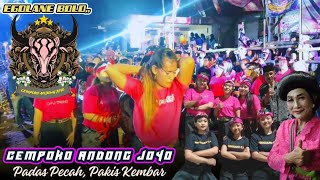 Edisi Kalapan‼️CEMPOKO ANDONG JOYO (CAJ) || Full Cerot, Cewek Mberot Live Padas Pecah, Pakis