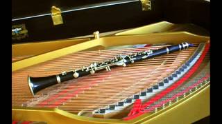 Tico Tico   Clarinet & Piano chords
