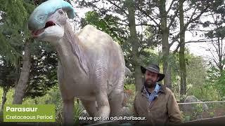 Dinosaur Realm at Colchester Zoo!