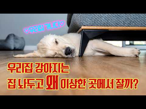 수맥 위에서 자면 생길 수 있는 7가지 증상 | 한국수맥연합회 정재성 회장