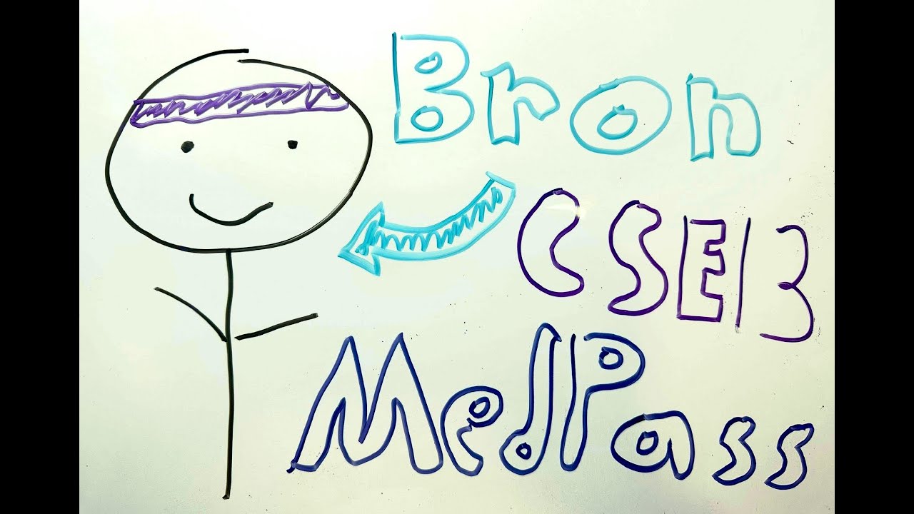 CSE-13 MEDPASS  - CS 426 Capstone Video