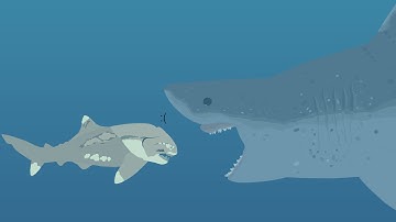 Megalodon Vs Dunkleosteus Remake (Stick Nodes Pro)