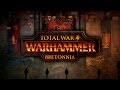 Total War: Warhammer - Бретония! Первый взгляд!