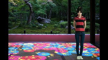 Scatter | Free interactive display floor or wall experience from LUMOplay