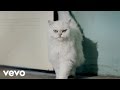 Katy Perry - Roar: From A Meow To A Roar (Single Preview)
