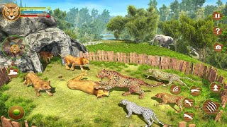 Cheetah Attack Simulator 3D Game Cheetah Sim Android Gameplay #1 Dishoomgameplay screenshot 2