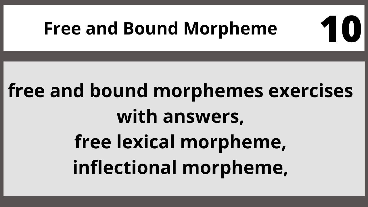 Free and Bound Morpheme Eng455 Lecture in Hindi Urdu 10