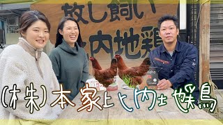 【比内地鶏】生産工場に潜入取材！