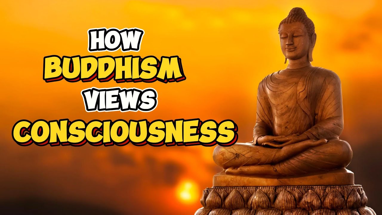 The Connection of Neuroscience, Buddhism And Science | Wisdom Insights ...