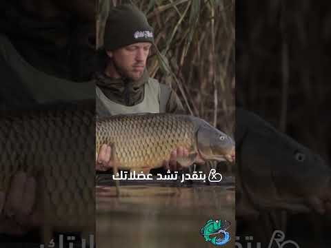 كم يحرق الصياد من السعرات الحرارية أثناء الصيد اكتشف معنا