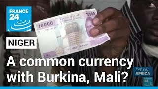 Niger hints at new currency in ‘step out of colonialisation’ • FRANCE 24 English