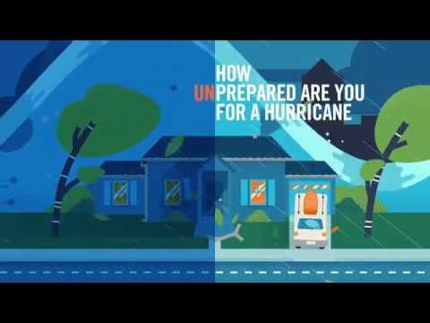 Video: 14 Hurricane Safety Tips For Pets