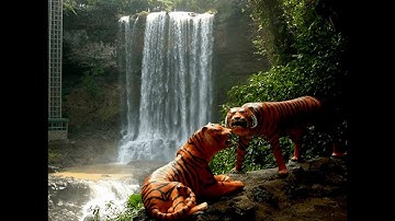 Thác DAMBRI & Thác DASARA ở Bảo Lộc - Lâm Đồng. =Nhạc : Ơi  M