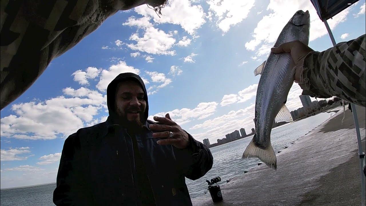 ALMOST LIMIT!! Chicago Powerline Fishing for Coho Salmon. Catfish