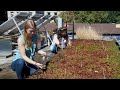 About Sustainability at PSU