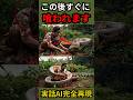 『実話』農作業中のお母さんがヘビに丸飲みされた事件(2024年インドネシア)