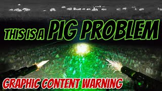 Farmer Has A Feral Pig Problem || Pest Control Shooting In Australia || ATV Thermal & 308w Hunting