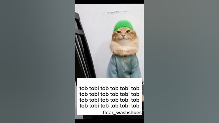Tob Tobi tob tob😭#fypシ゚#memes#ranked #funny#cat#reels#fyp#foryou#reel#shortsfeed#short#shorts#fy
