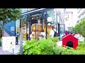 [Harajuku Walk in Tokyo] Cute Street ♪ (4K ASMR non-stop 1 hour 05 minutes)