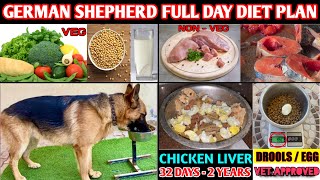 German Shepherd Diet Plan | Healthy Full Day Diet Chart For GSD Morning, Afternoon & Evening Diet