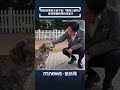 陳佩琪攻擊賴清德