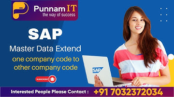 SAP GL Vendor and Customer  Extend to Company codes