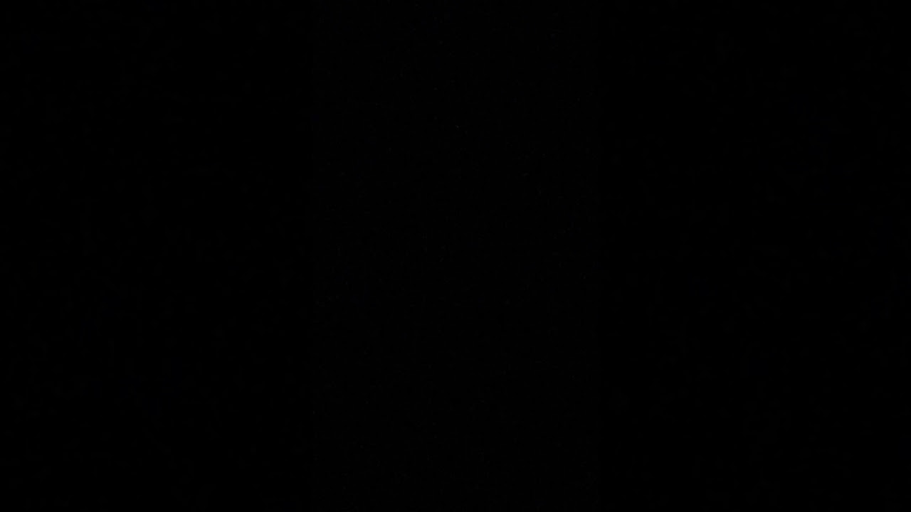 13 ноября 2025 г.