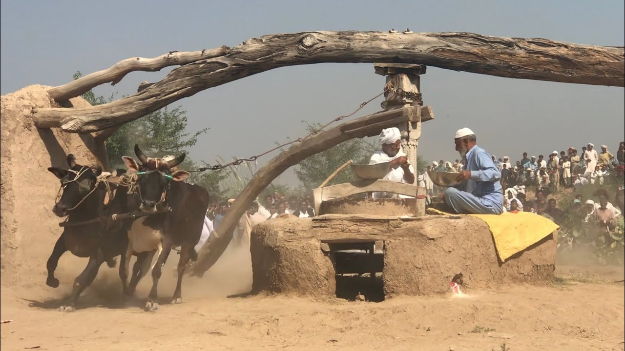Old Kharas Atta Chaki of Punjab #viral #oldschool #punjablooktv