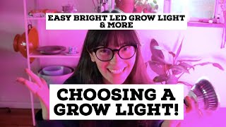 Let's Talk Grow Lights | Easy Bright LED Light & More!