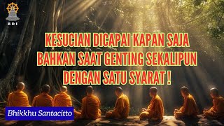 Download Lagu HOLINESS CAN BE ACHIEVED AT ANY TIME WITH THIS ONE CONDITION! I Bhante Santacitto I Chapter 6 MP3