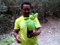 Arboles nativos en el Bosque Cerro Blanco