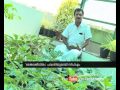 Ernakulam Lenin Centre organic farming