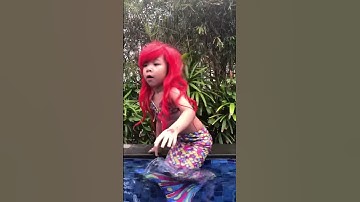 Câu chuyện về nàng tiên cá Bối Bối