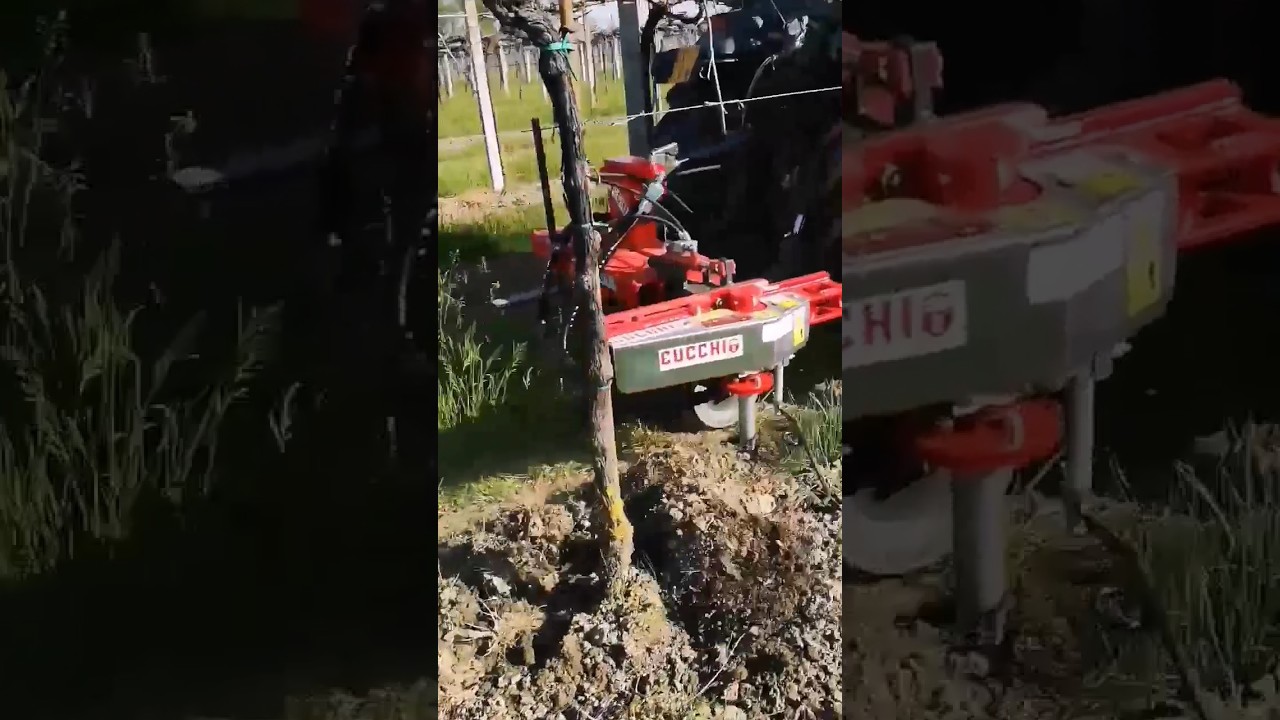 inRow Cultivator For Weed Control Between The Vines || By Cucchi Macchine Agricole Italy || 