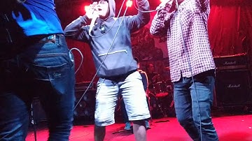 Daun puspa - D