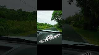 Download Lagu Kaneka Nengone - INESSE - \ MP3