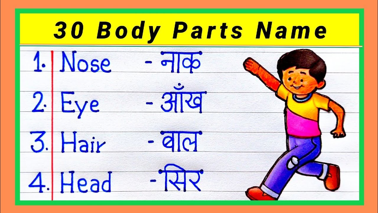 30 Body Parts Name In English And Hindi Body Parts Name Parts Of 30 Body Parts Name In English And Hindi Body Parts Name Parts Of