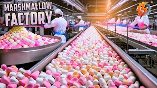 How Marshmallows Are Made In Factory | Marshmallows Factory