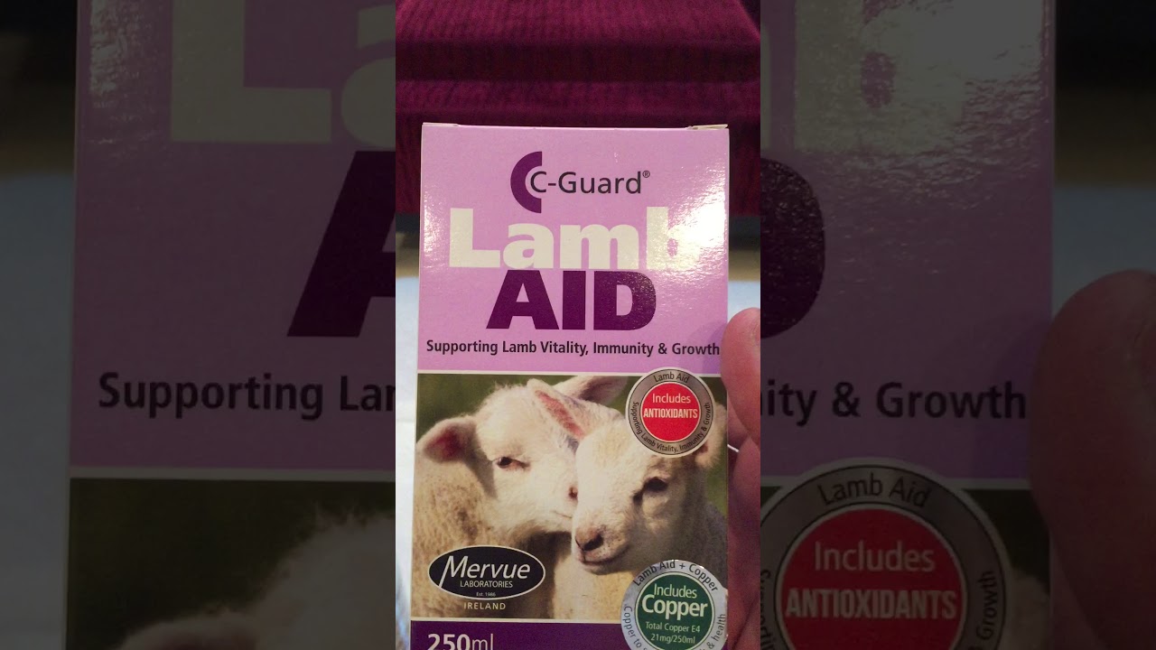 شنطة العلاجات المختصرة للضأن و الماعز