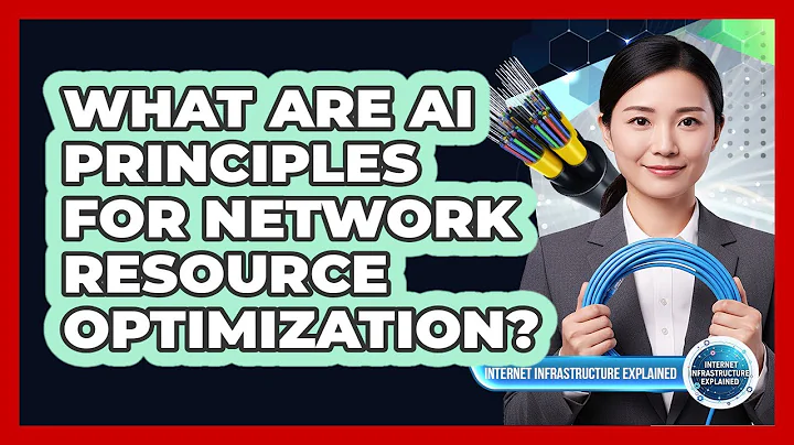 What Are AI Principles for Network Resource Optimization?