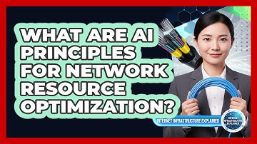 What Are AI Principles for Network Resource Optimization?