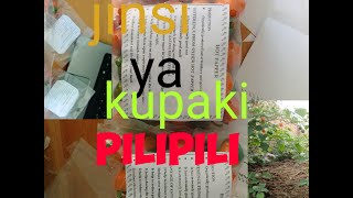 Jinsi Ya  Kupaki Pilipili/How to pack hot paper.