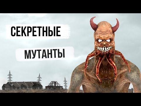 Видео: 5 Секретных МУТАНТОВ - stalker