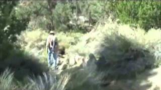 Desert Flute Journey