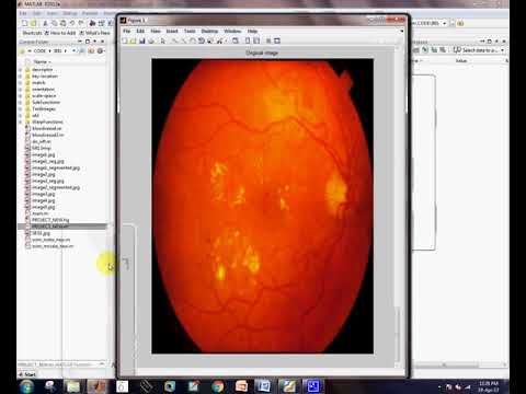 Matlab code for Deep representation for iris, face and fingerprint specifying detection