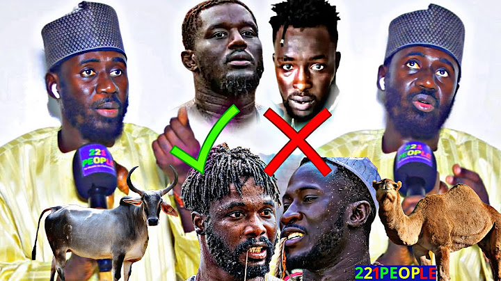 Urgent : ‼️"Balla Gaye vs Siteu"… "Ada Fass vs Liss"‼️Ce Marabout les vainqueurs en direct