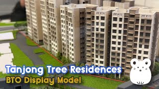 Tanjong Tree Residences - BTO Model (February 2024)