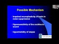 Dr. Silverstein hyperacusis surgery presentation