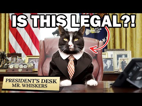 Can a Cat Legally Be President?