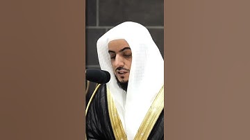 ما تيسر من سورة لقمان || القارئ الوليد الشمسان